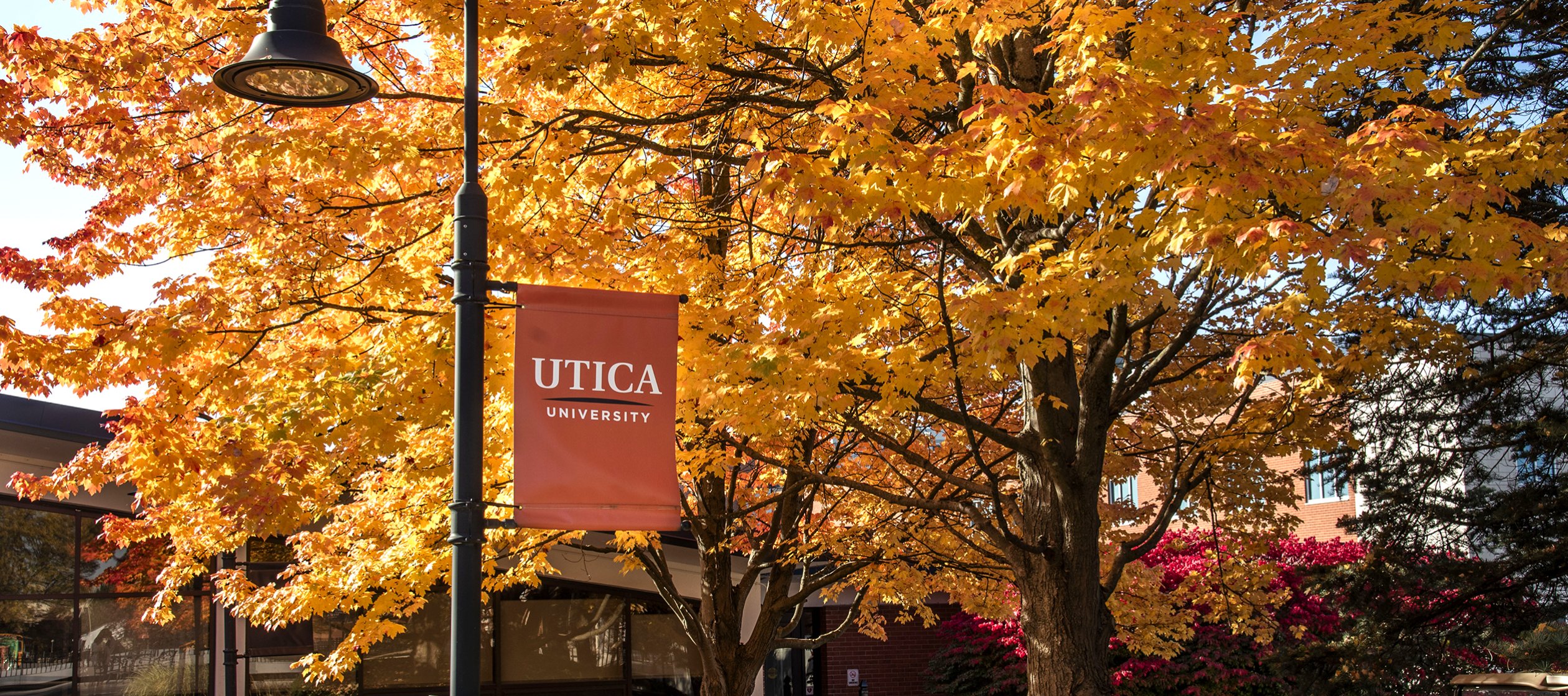 Utica University
