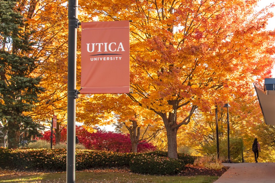 Utica University